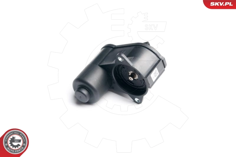 Control Element, parking brake caliper
